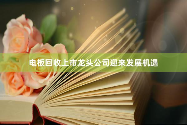 电板回收上市龙头公司迎来发展机遇